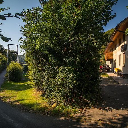 Penzion Krizky Mala Skala Exterior photo